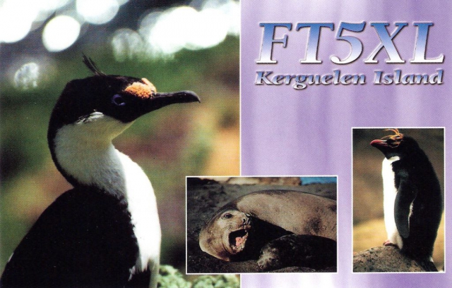 ft5xl qsl card